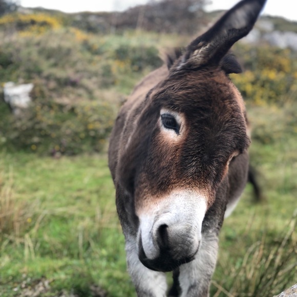 Meet your Posher, Heather - Picture 1 of 1